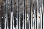 Alyse_fence