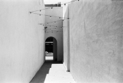 Daylee_Image 6
