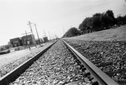 Daylee_Image 8