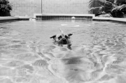 Olivia_Image 1