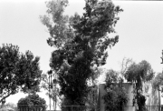 Ty_1 2