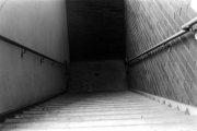 Ty_8 4