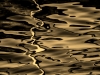 Peroni_Cyd_21 Peroni_Cyd_21