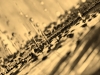 Peroni_Cyd_41 Peroni_Cyd_41