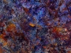 MPort-Price_Michael_5 MPort-Price_Michael_5