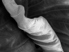 MPort-Tarara_Theresa_1 MPort-Tarara_Theresa_1
