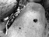 MPort-Tarara_Theresa_2 MPort-Tarara_Theresa_2
