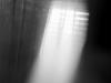MPort-Tarara_Theresa_3 MPort-Tarara_Theresa_3