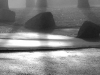 MPort-Tarara_Theresa_5 MPort-Tarara_Theresa_5
