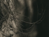 All Art AZ 2015-Hymer_Karen_4 All Art AZ 2015-Hymer_Karen_4