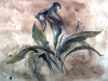 All Art AZ 2015-Wilbur_Hristi_2 All Art AZ 2015-Wilbur_Hristi_2