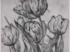 All Art AZ 2015-beatty_susanna_4 All Art AZ 2015-beatty_susanna_4