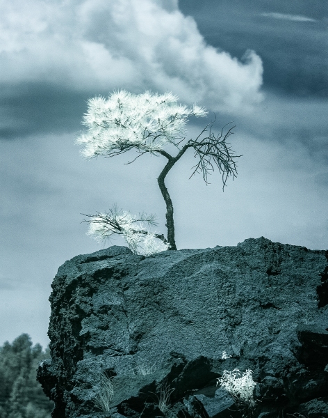 All Art Arizona-Peterson_Jim_4