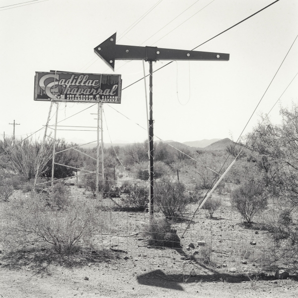 All Art Arizona-celentano_tony_4