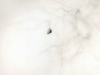 Alberty_Deb_2 Alberty_Deb_2