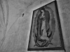 Loretz_Erin_2 Loretz_Erin_2