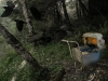 Martin_Amber_3 Martin_Amber_3