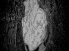 Moore_David_2 Moore_David_2
