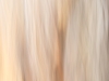 Ruscetti_Susan_4 Ruscetti_Susan_4