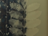 Trennert_Shari_1