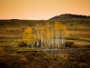 Woodward_Reid_1