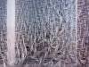 Melser_Terry_2 Melser_Terry_2