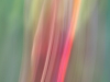 Ruscetti_Susan_3 Ruscetti_Susan_3