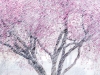 Yamauchi_Angela_4 Yamauchi_Angela_4
