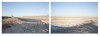 Golden_Pam_4 Golden_Pam_4