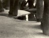 Kubran_Jo_2 Kubran_Jo_2