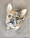 AAA-2021-Atrostic_Amanda_2 AAA-2021-Atrostic_Amanda_2