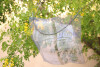 AAA-2021-Buck-Hutchison_Cherie_3 AAA-2021-Buck-Hutchison_Cherie_3
