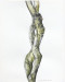 AAA-2021-Engel_Charlene_1 AAA-2021-Engel_Charlene_1