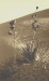 AAA-2021-Kubran_Jo_1 AAA-2021-Kubran_Jo_1