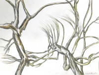 AAA2022-Engel_Charlene_1