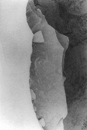 Patricia Bender