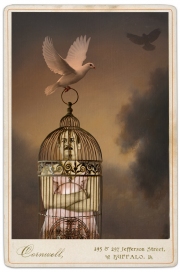Fran Forman