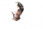 Emerge 2015-Colgin_Tristan_1