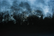 Bozovich_Emily_1