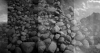 Comyns_Sarah_2