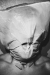 Nichols_Cozette_1
