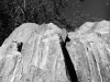 KUBASKO_MORGAN_1