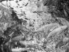 Patel_Lila_2