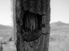 Bell, _Georgia