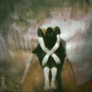 Diana Bloomfield