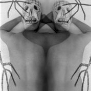 Cecilia Portal