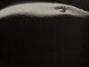 LS2015-Carren_Marilyn-1 LS2015-Carren_Marilyn-1
