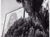 LS2015-Celentano_Tony_4 LS2015-Celentano_Tony_4
