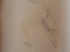 LS2015-Delaney_Maureen_5 LS2015-Delaney_Maureen_5