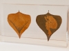 LS2015-Engelmann_Steve_4 LS2015-Engelmann_Steve_4
